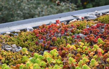 the cost of Three Gates green roof installation
